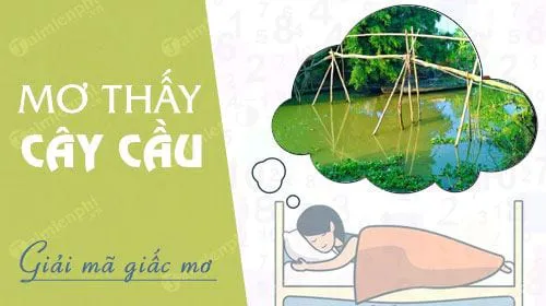 Mơ thấy cây cầu, đi qua cầu, cầu gãy báo hung hay cát, con số nào may mắn?