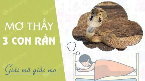 Nằm Mơ Thấy 3 Con Rắn báo hung hay cát, con số nào may mắn?