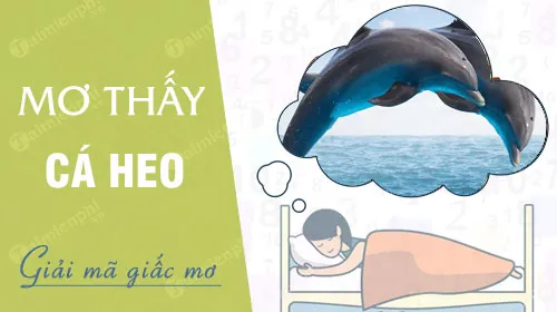 Nằm mơ thấy cá heo báo hung hay cát, con số nào may mắn?