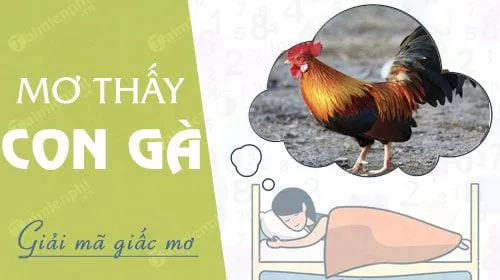 Nằm mơ thấy con gà đánh con gì? là điềm báo gì?