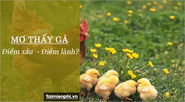 Nằm mơ thấy con gà đánh con gì? là điềm báo gì?