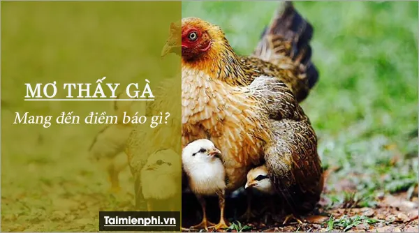 Nằm mơ thấy con gà đánh con gì? là điềm báo gì?