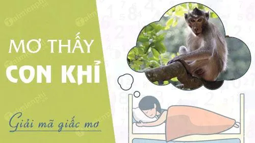 Nằm mơ thấy con khỉ báo hung hay cát, con số nào may mắn?