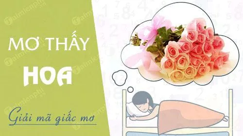 Nằm mơ thấy hoa báo hung hay cát, con số nào may mắn?