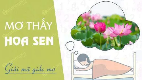 Nằm mơ thấy hoa sen báo hung hay cát, con số nào may mắn?