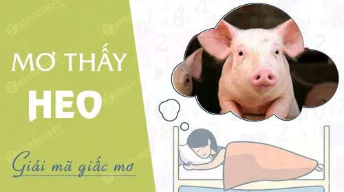 Nằm mơ thấy lợn, heo đánh con gì? điềm báo gì?