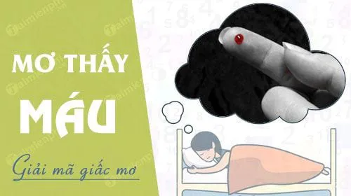 Nằm mơ thấy máu báo hung hay cát, con số nào may mắn?