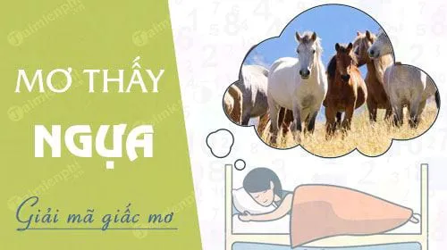 Nằm mơ thấy ngựa báo hung hay cát, con số nào may mắn?