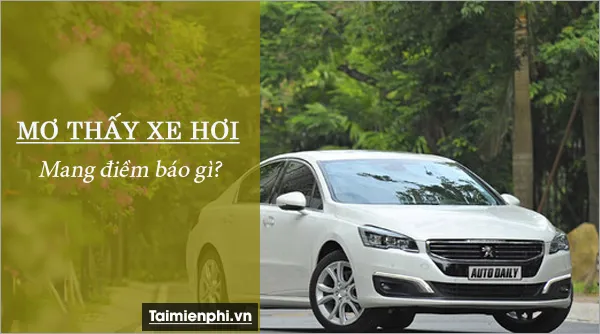 Nằm mơ thấy xe hơi đánh con gì? là điềm báo gì?