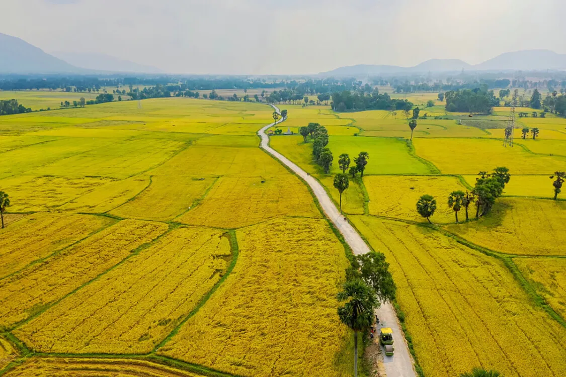 1 mẫu bằng bao nhiêu m2, bao nhiêu sào và bao nhiêu hecta?