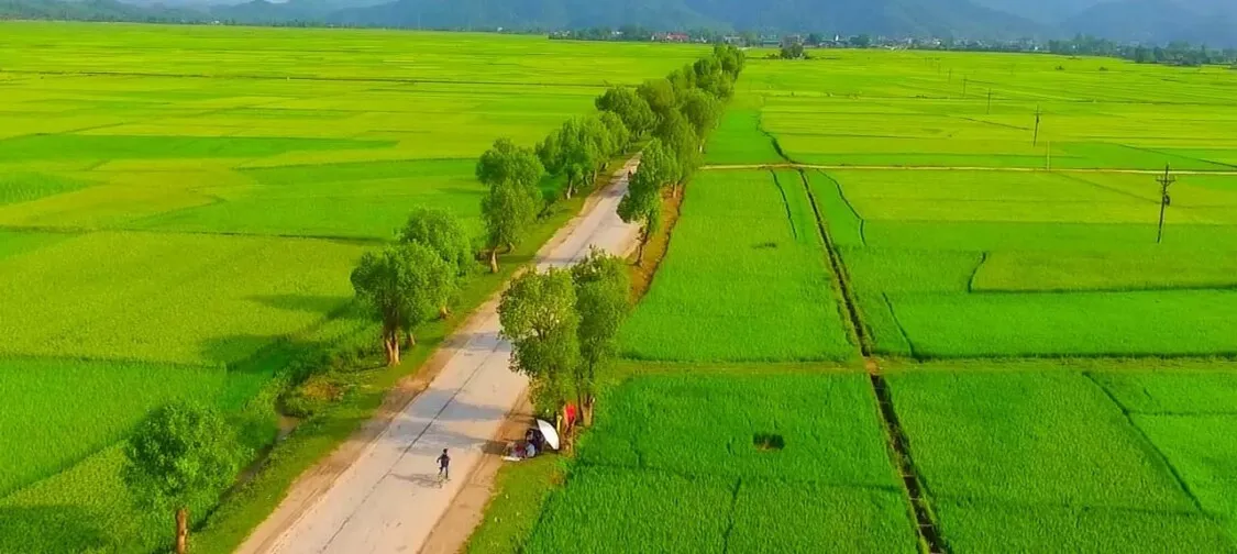 1 mẫu bằng bao nhiêu m2, bao nhiêu sào và bao nhiêu hecta?