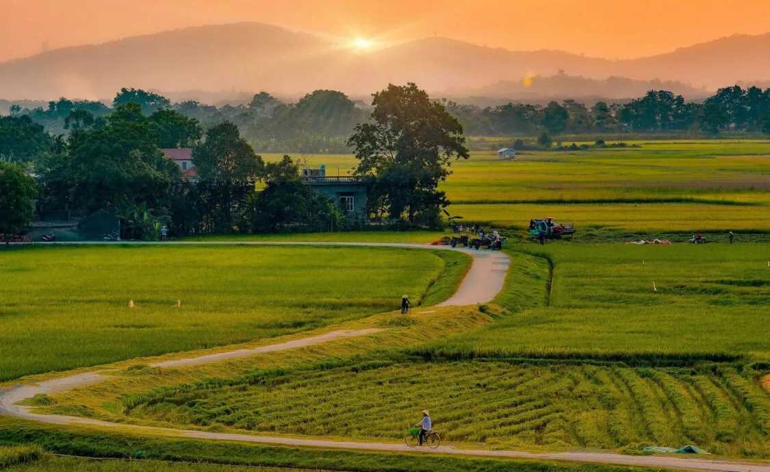 1 mẫu bằng bao nhiêu m2, bao nhiêu sào và bao nhiêu hecta?