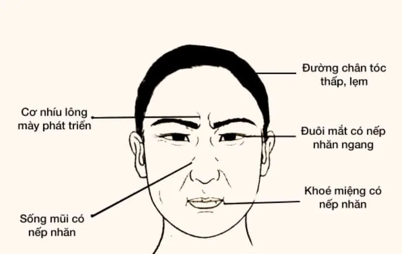 10+ cách xem nhân tướng học cho nam nữ chính xác