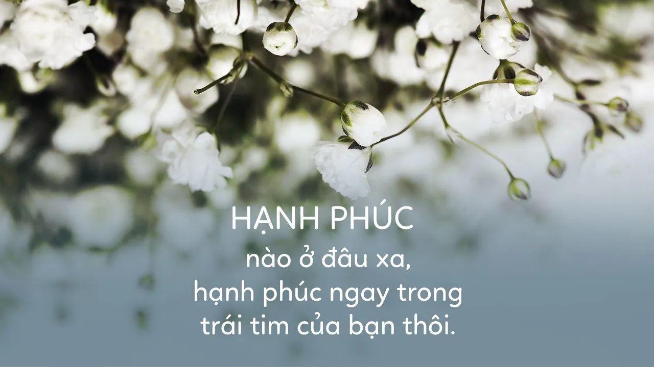 20/3 là ngày gì? Tìm hiểu nguồn gốc, ý nghĩa và hoạt động trong Ngày Quốc tế Hạnh Phúc