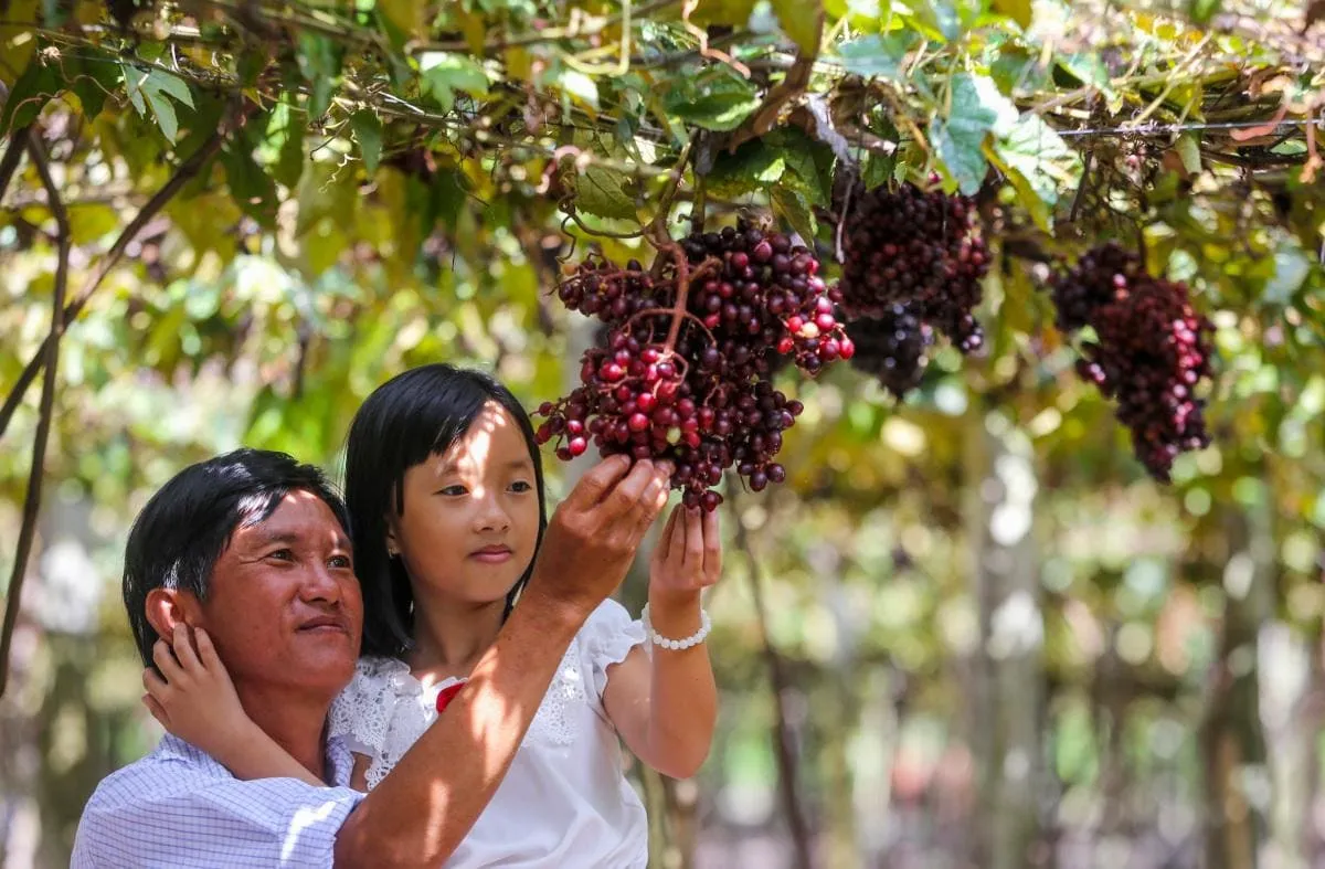 30+ địa điểm du lịch Tây Ninh khiến bạn say mê “quên lối về”