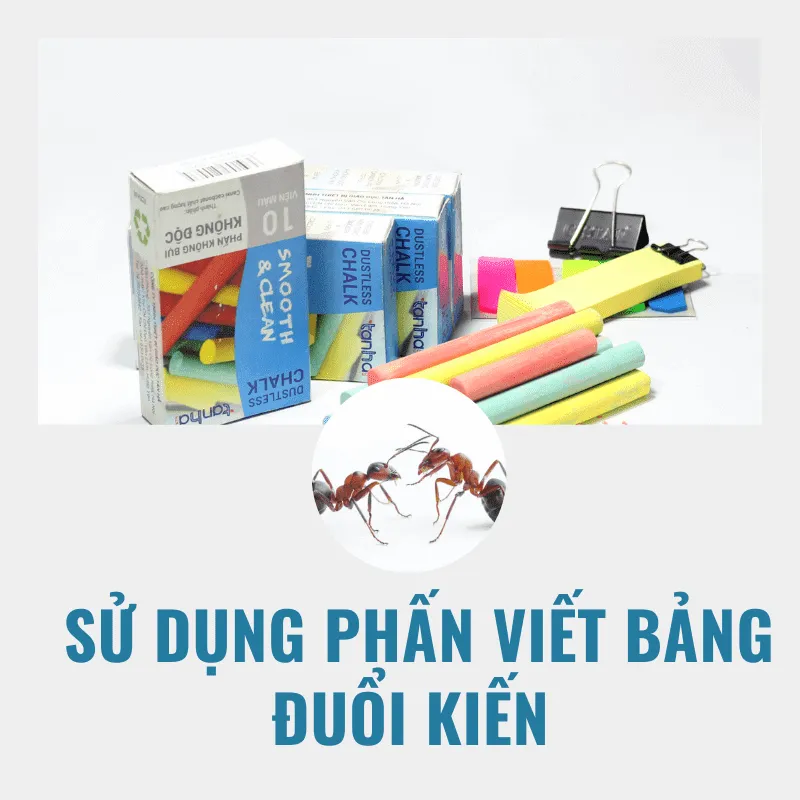 6 Mẹo diệt đuổi kiến trên giường ngủ hiệu quả