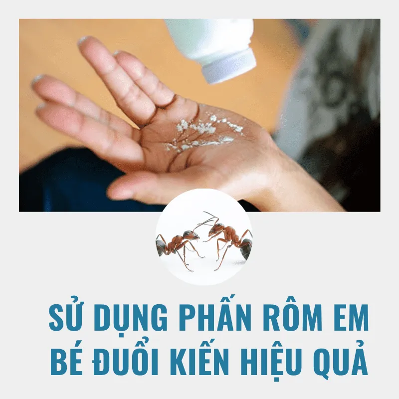 6 Mẹo diệt đuổi kiến trên giường ngủ hiệu quả