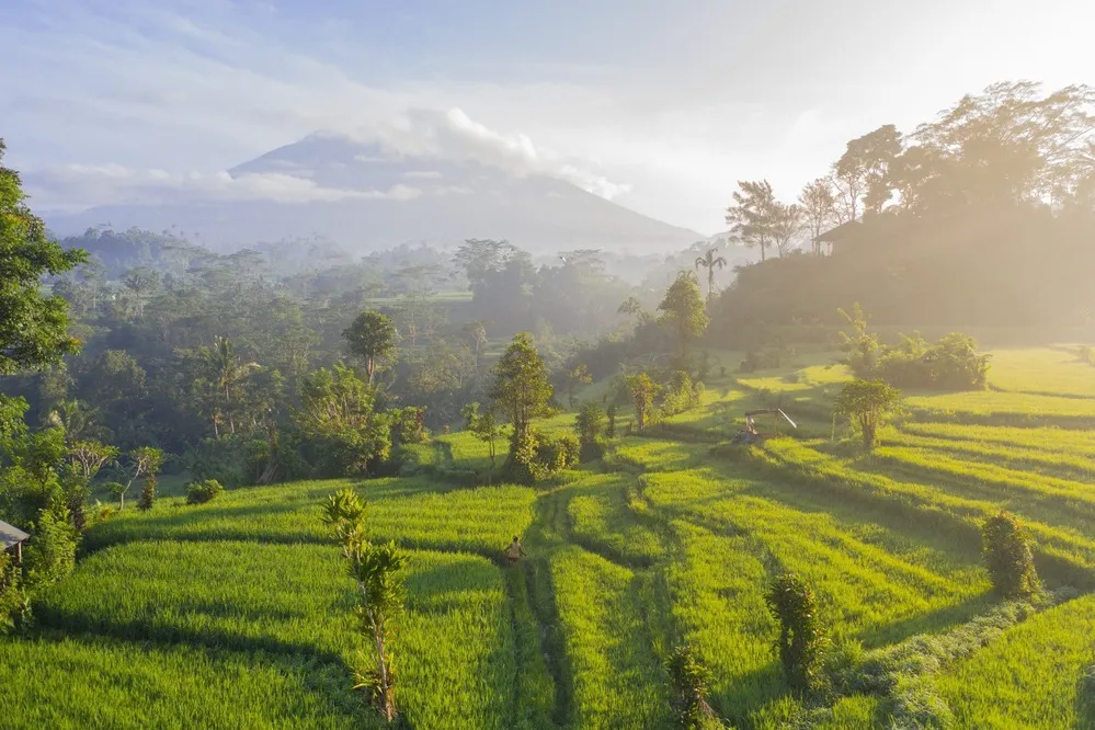 9 hành động bảo vệ môi trường đơn giản