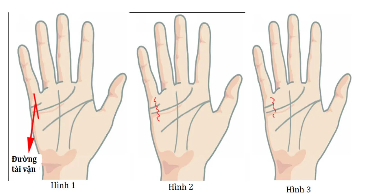 Bàn tay phụ nữ giàu có sở hữu 1 trong những điểm này