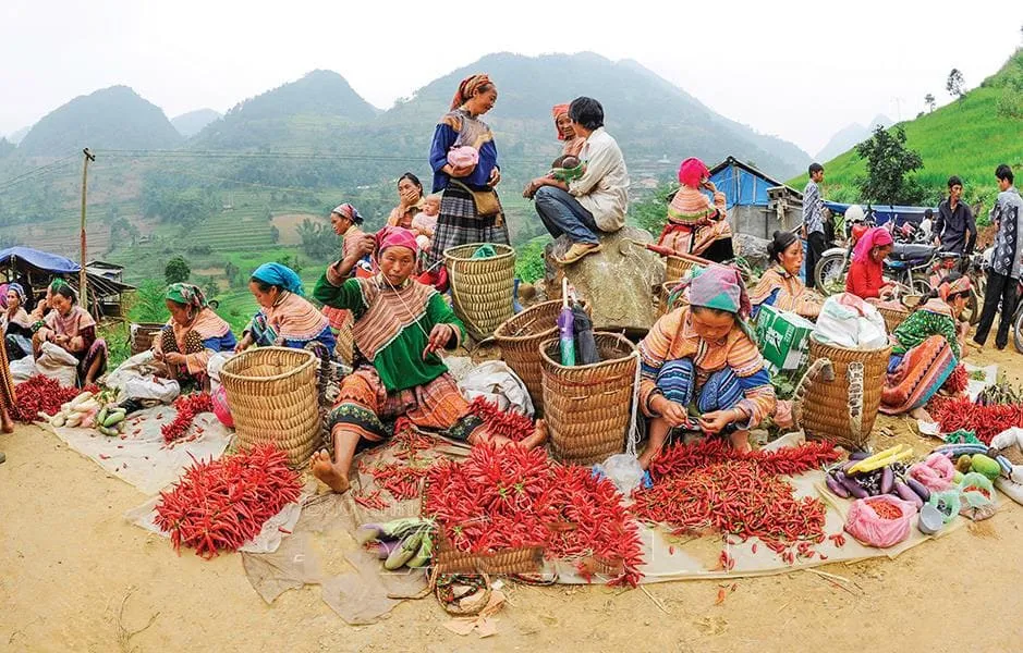 Bí kíp săn mây đèo Ô Quy Hồ – Tiên cảnh Tây Bắc 