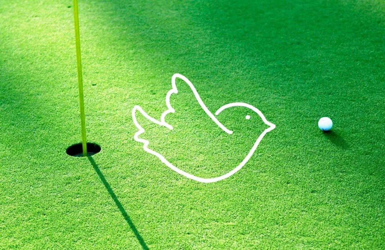 Birdie Golf là gì? Cách tính điểm birdie golf và các kỷ lục tiêu biểu