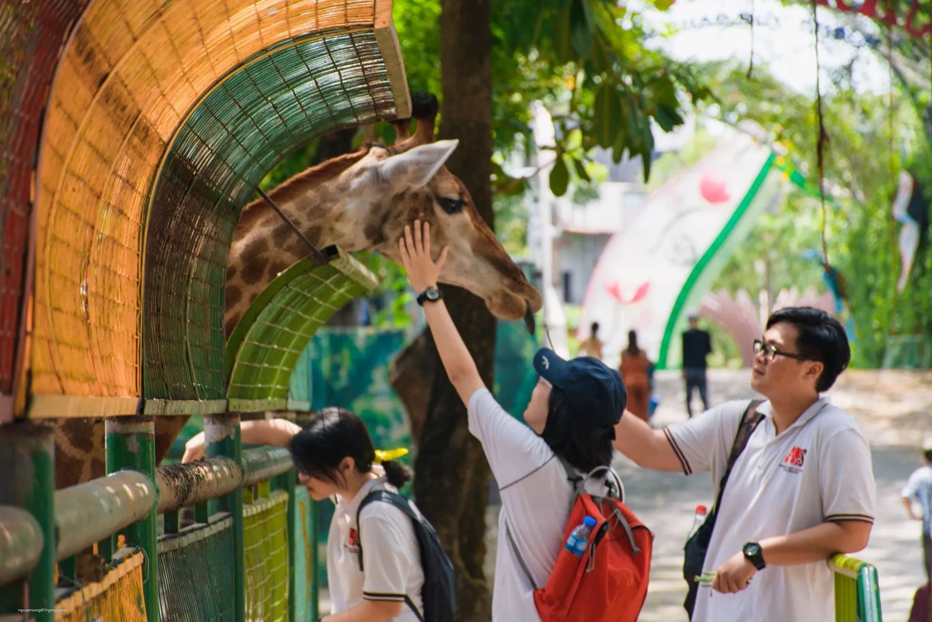 Bỏ túi kinh nghiệm đi Công viên Văn hóa Đầm Sen từ A – Z