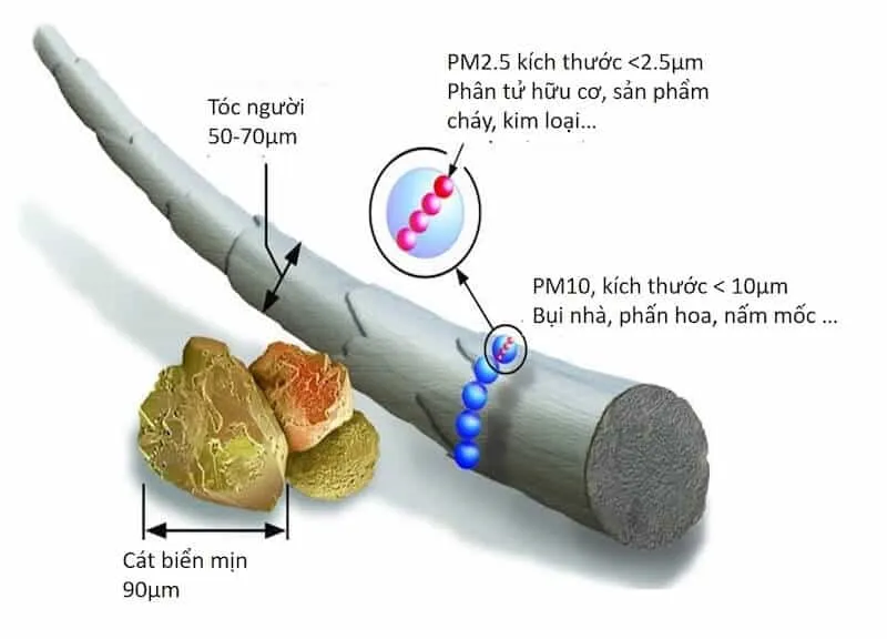 Bụi mịn PM2.5 là gì? Hướng dẫn làm sạch bụi mịn PM2.5 ở trong nhà?