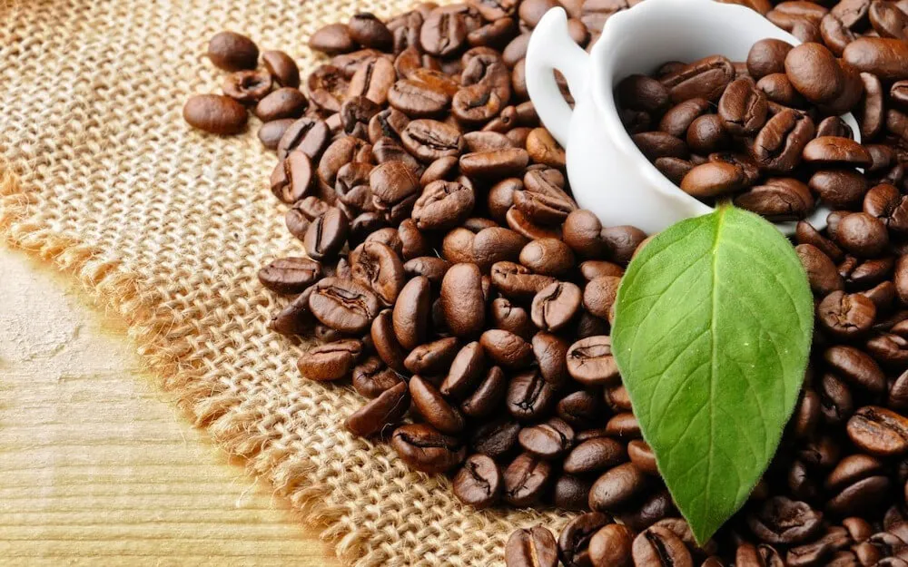 Cà Phê Robusta Là Gì? Đặc Điểm, Nguồn Gốc Của Loại Cà Phê Này