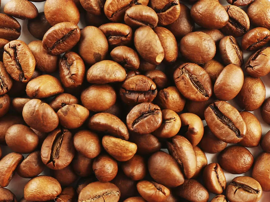 Cà Phê Robusta Là Gì? Đặc Điểm, Nguồn Gốc Của Loại Cà Phê Này