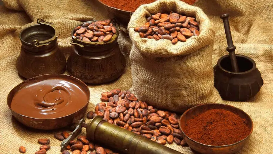 Cách pha bột cacao ngon chuẩn vị tại nhà, không cần đến quán