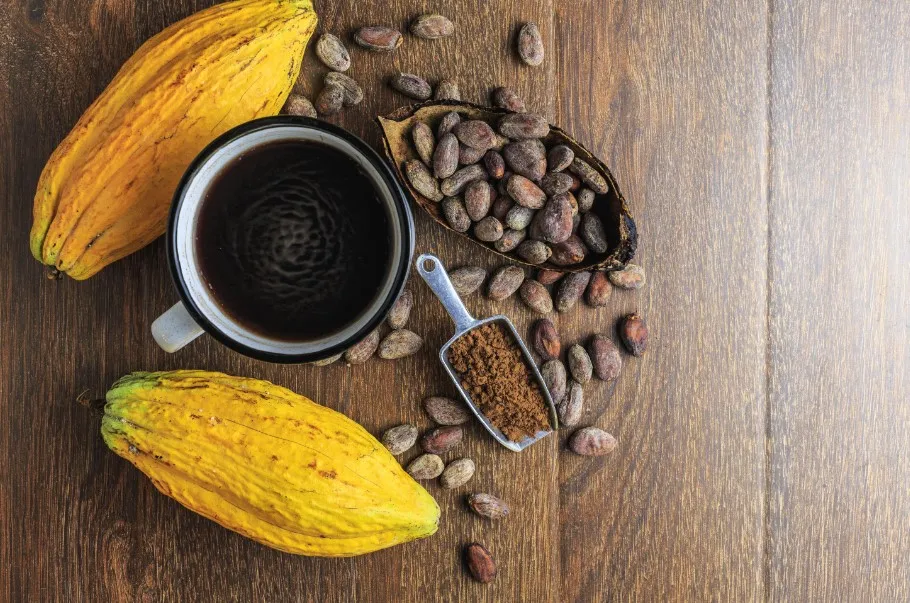 Cách uống bột cacao giảm cân hiệu quả, cách làm đơn giản