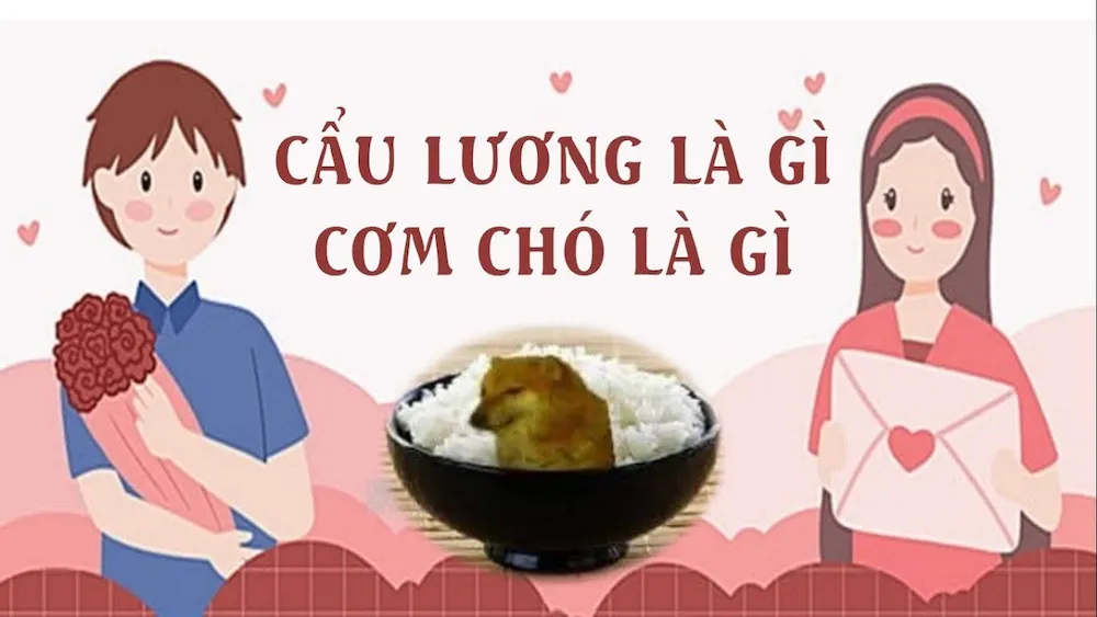 Cơm chó là gì? Nguồn gốc và ý nghĩa của cơm chó