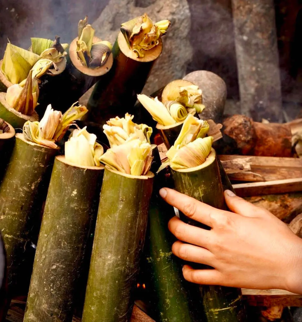 Cơm lam là gì? Hướng dẫn làm cơm lam ống tre, ống nứa dẻo, ngọt và chuẩn vị núi rừng 