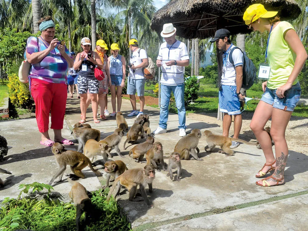 Đảo Khỉ ở đâu? Kinh nghiệm du lịch đảo Khỉ cho dân mê dịch chuyển