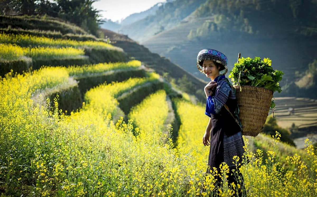 Đèo Mã Pí Lèng ở đâu? Kinh nghiệm du lịch đèo Mã Pí Lèng