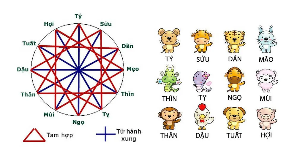 Địa chi là gì? Địa chi gồm có những gì? Mối quan hệ xung hợp trong địa chi 12 con giáp