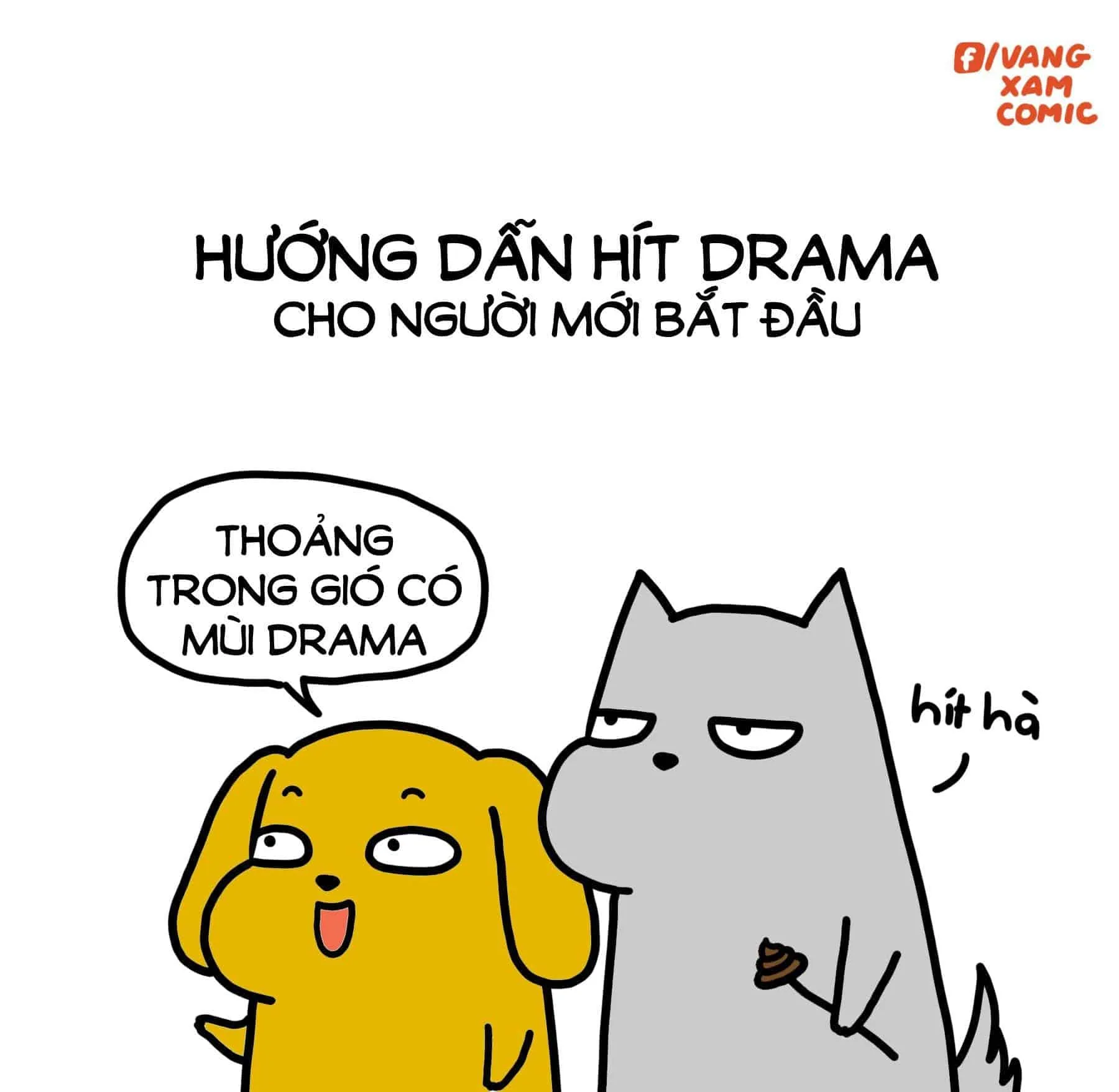 Drama là gì? Nghĩa của từ drama trên mạng xã hội