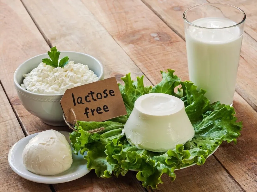 Đường lactose là gì? Tác động của đường lactose tới cơ thể