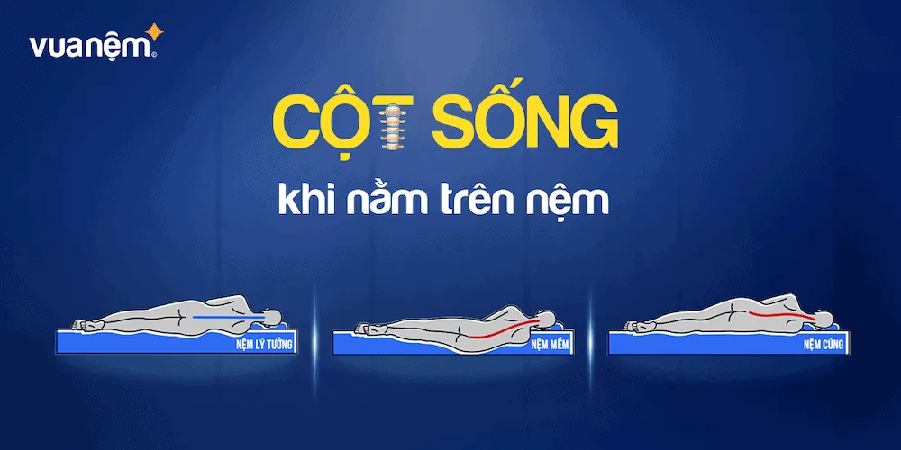 Eva.vn nói gì về sức khỏe cột sống?