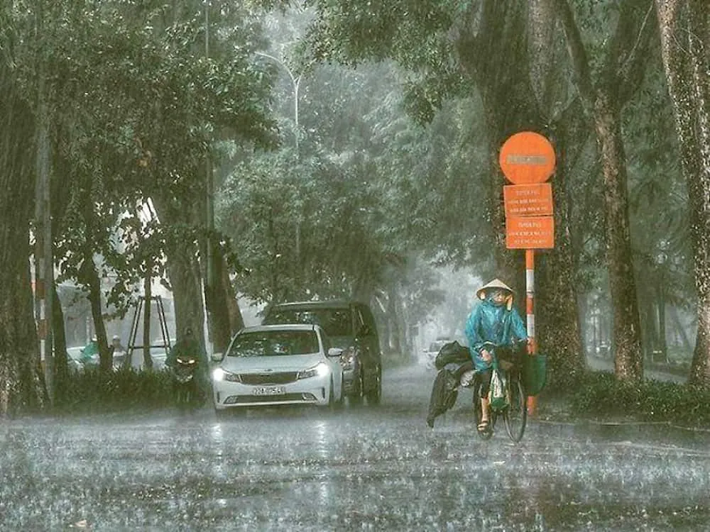 Gió mùa là gì? Tìm hiểu ảnh hưởng của gió mùa tới đời sống và sản xuất