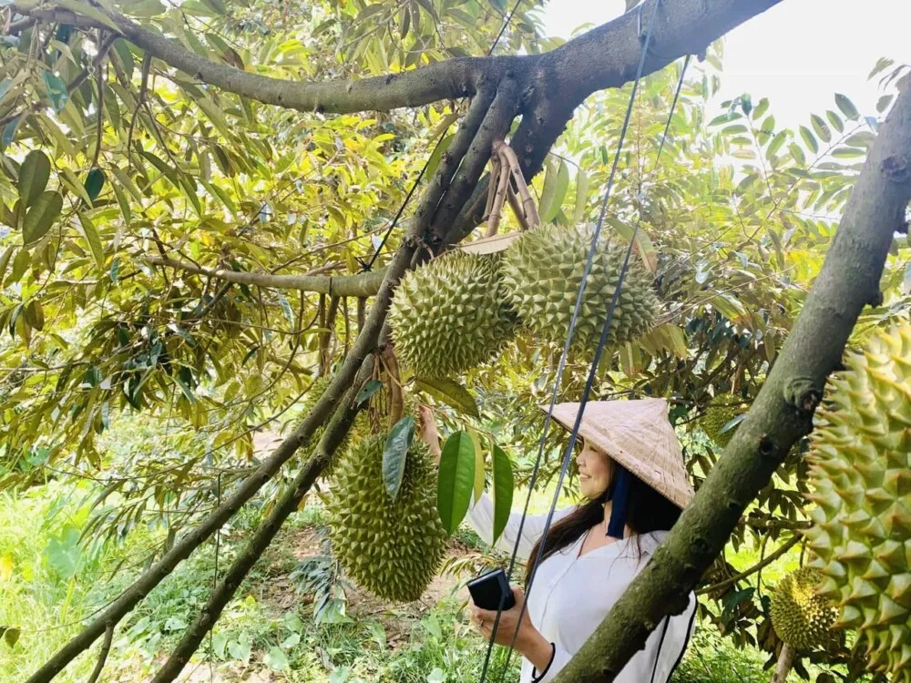 Hãy trải nghiệm “NIỀM VUI BẤT TẬN” tại khu du lịch sinh thái Lái Thiêu