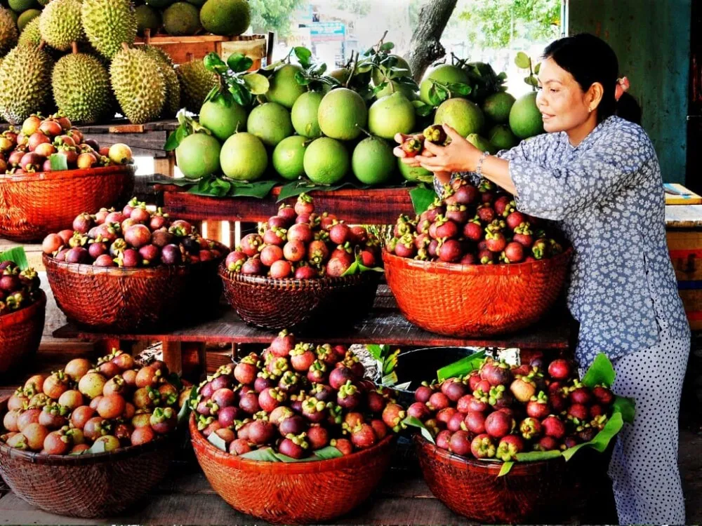 Hãy trải nghiệm “NIỀM VUI BẤT TẬN” tại khu du lịch sinh thái Lái Thiêu