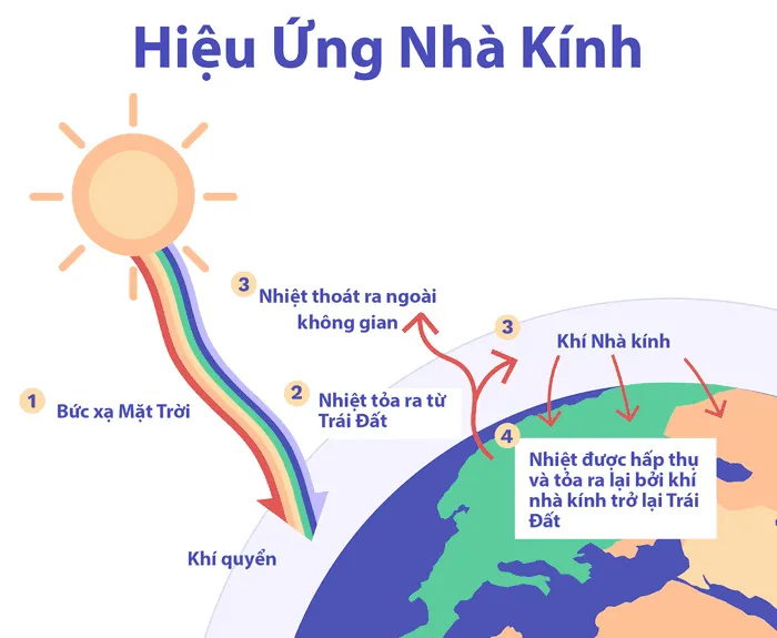 Hiệu ứng nhà kính và các nguyên nhân gây ra hiệu ứng nhà kính