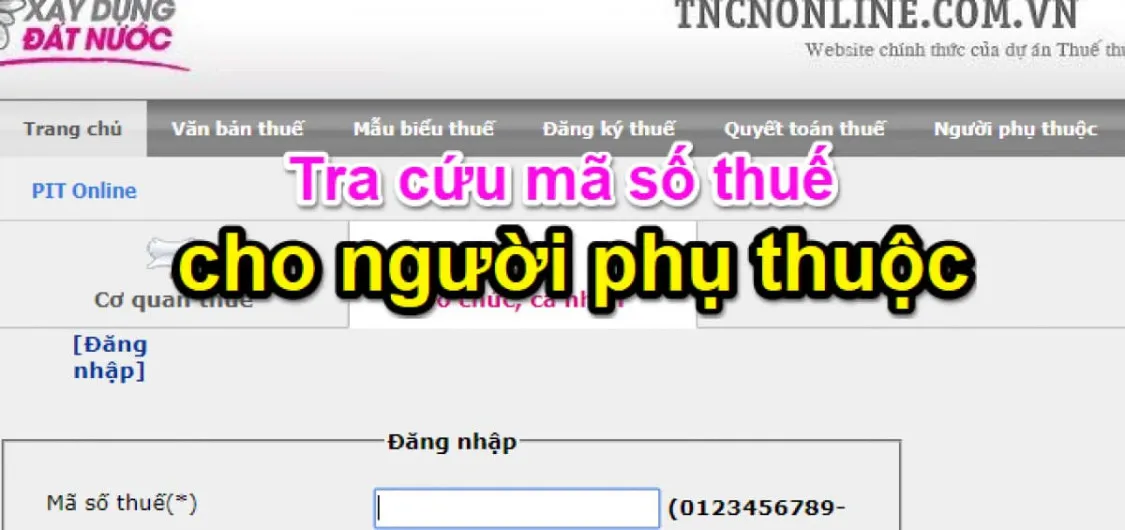 Hướng dẫn cách tra cứu mã số thuế người phụ thuộc chính xác nhất 2024