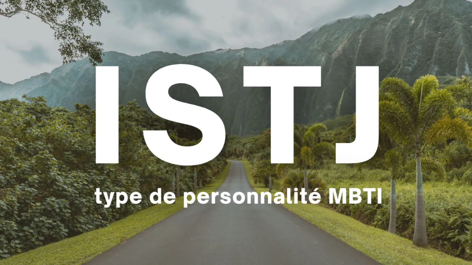 ISTJ là gì? Nhóm tính cách này có điểm gì đặc biệt?