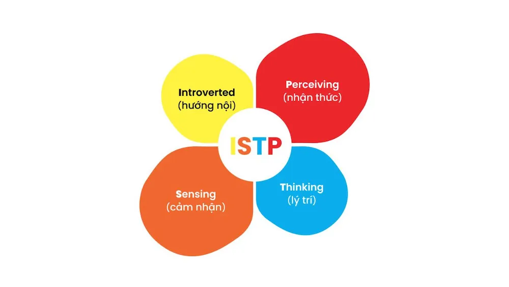 ISTP là gì? Nhóm tính cách ISTP nên chọn ngành nghề nào?