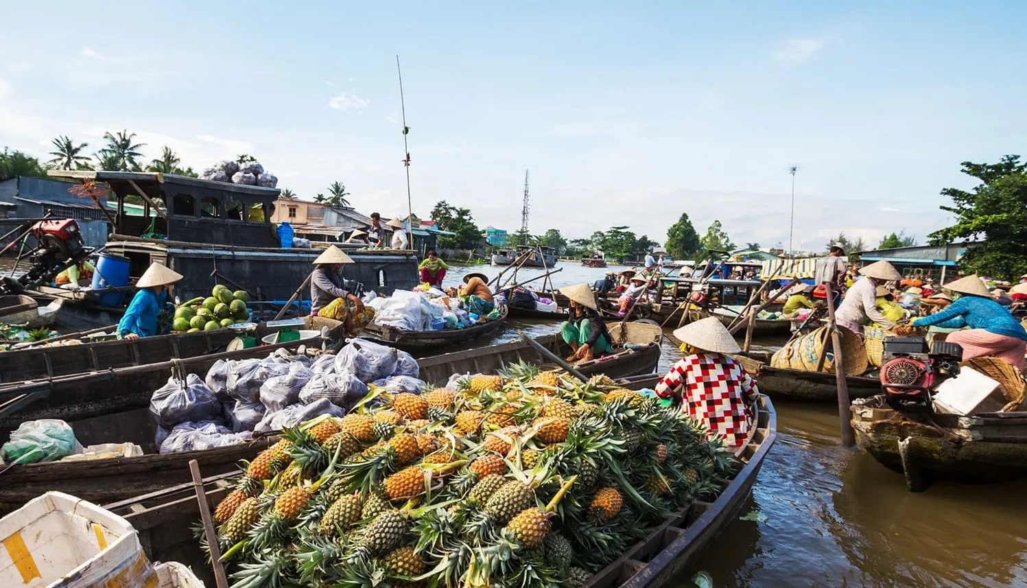 Kinh nghiệm du lịch chợ nổi Cái Răng 2024