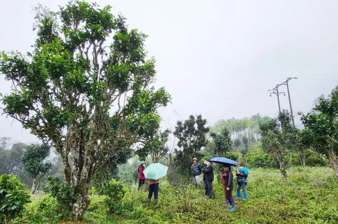 Kinh nghiệm du lịch hồ Ba Bể – Viên ngọc thô của Bắc Kạn 