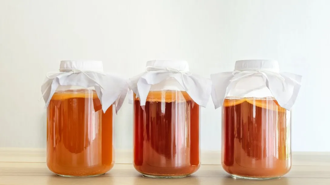 Kombucha là gì? Cách làm Kombucha đơn giản ngay tại nhà