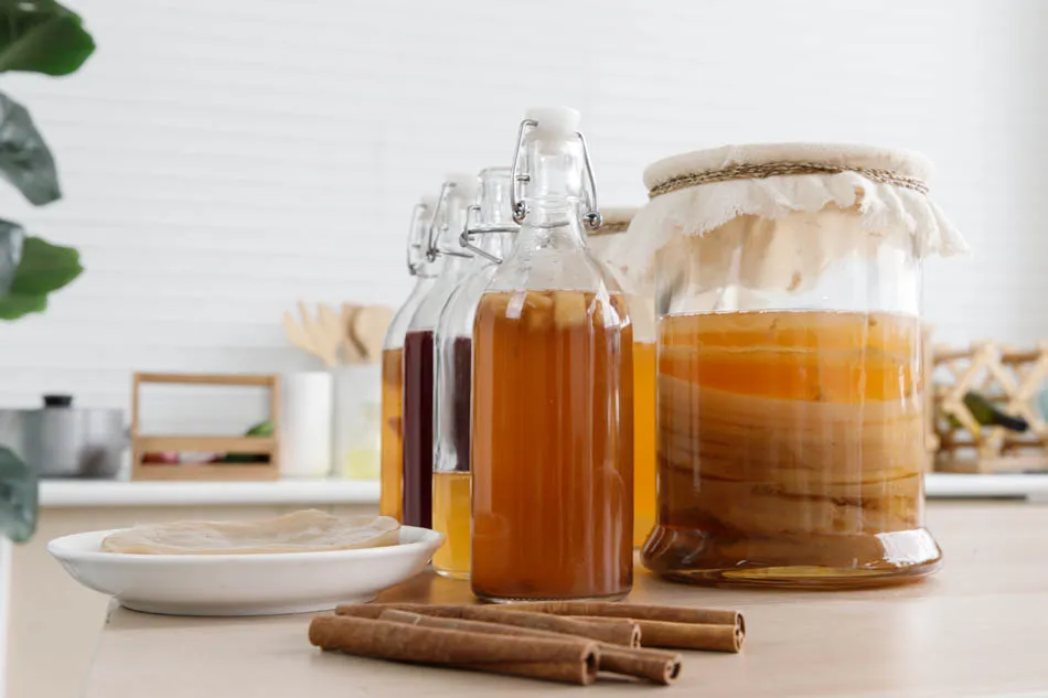 Kombucha là gì? Cách làm Kombucha đơn giản ngay tại nhà